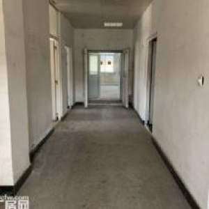 沈北区道义6000平举架8米办公750可分租手续全形象好交通