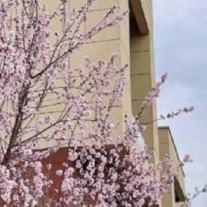 租售长白朗勤产业园厂房480−3000平  随时可看可入驻