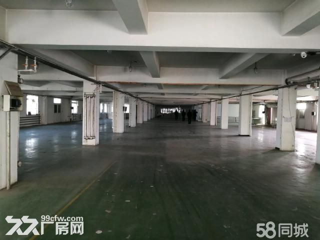 浑南大道附近1637平厂房出租 水电暖齐全