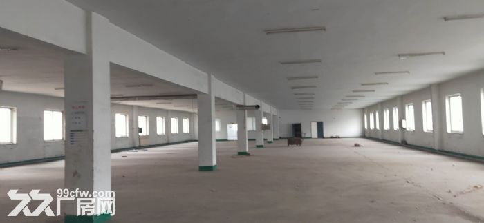 和平区多面积厂库房出租(可分租)-图4
