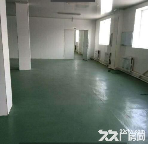 大东区1162平厂房出租（2层）-图2
