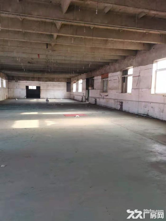 大东英达2600平举架5.5米电150千瓦独门独院随时看房