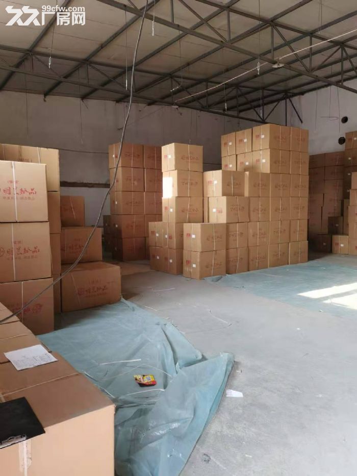 大东英达2600平举架5.5米电150千瓦独门独院随时看房-图2