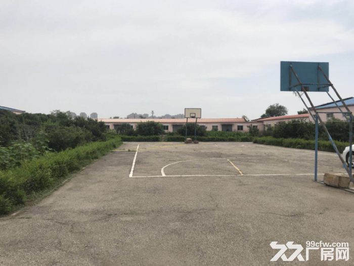 浑南区小羊安厂房1400平、3000平出租-图7