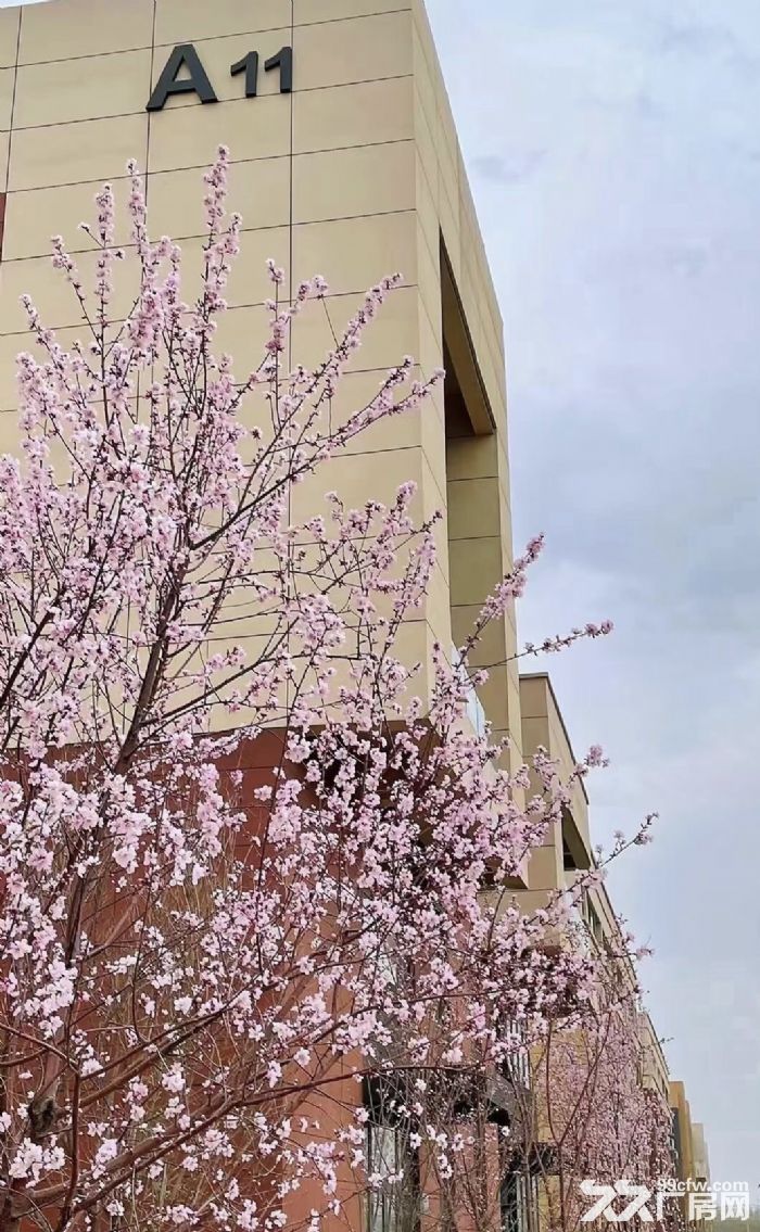 出租现房 朗勤产业园300−3000平厂房 四号线地体口 配套完善-图4