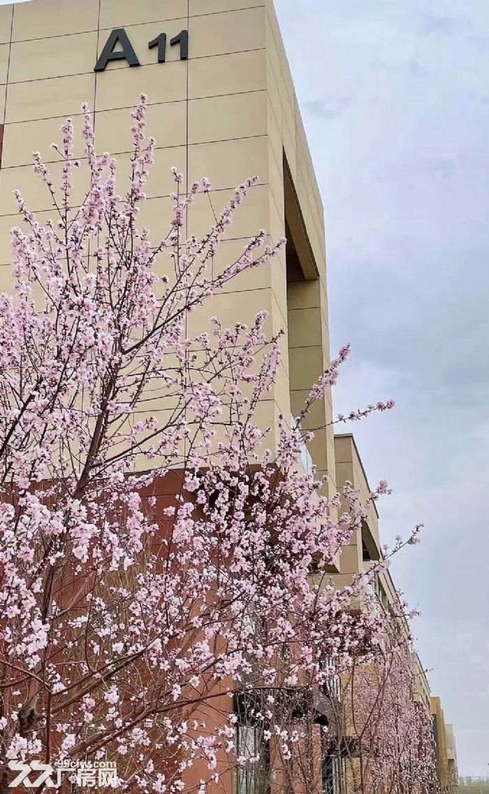 租售长白朗勤产业园厂房480−3000平  随时可看可入驻