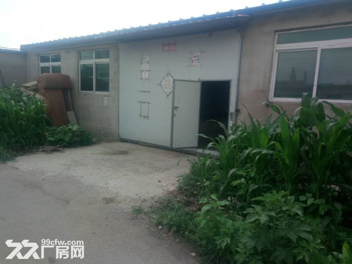 沙坨子附近有厂房500平.举架最高点6米-图4