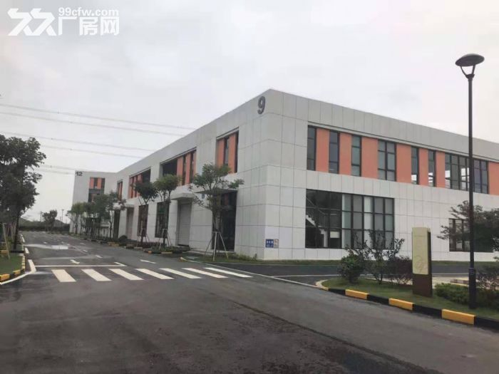 出售！浑南高新厂房800平3层独栋可贷-图6
