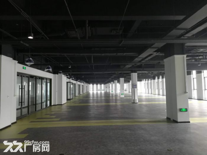 浑南精装厂房出租，200平米起租，单层5000平-图2