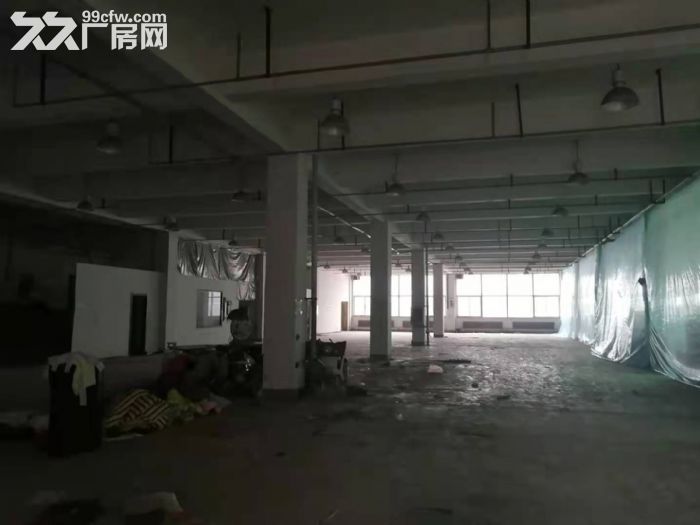 浑南独栋16000平厂房出租，三层框架，形象好-图4