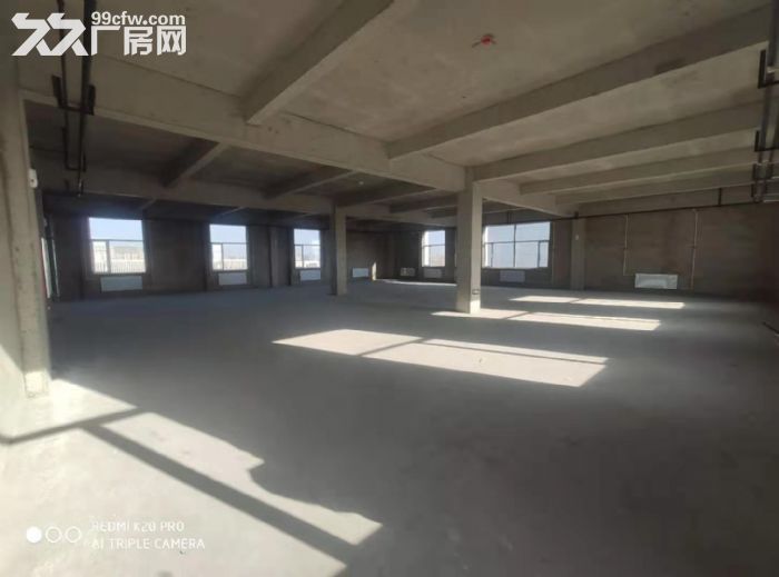 出售高端标准厂房500−2800平-图3